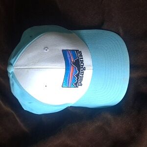 Patagonia hat cap